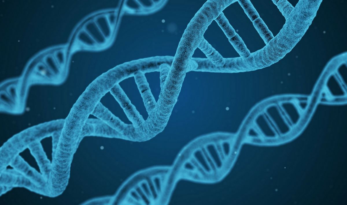 Manipulation in DNA